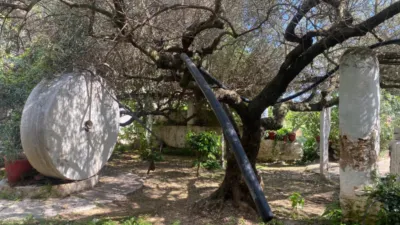 Rustic Finca in Barranc Fondo photo 2