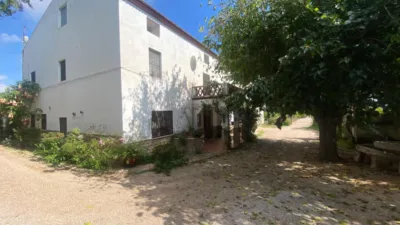 Rustic Finca in Barranc Fondo photo 46