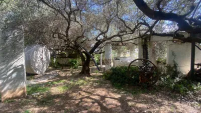 Rustic Finca in Barranc Fondo photo 6