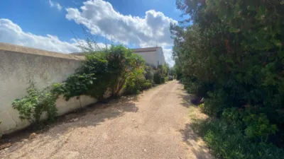 Rustic Finca in Barranc Fondo photo 8