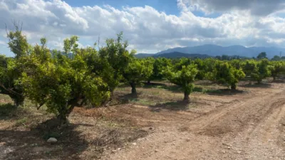 Rustic Finca in Barranc Fondo photo 9