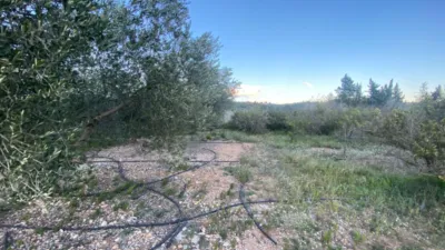 Rustic Finca in Rústica photo 11