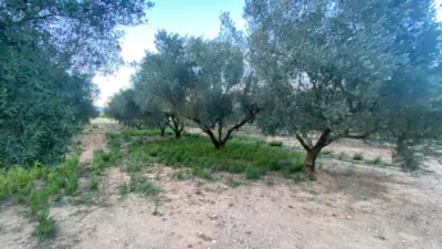 Rustic Finca in Rústica photo 12