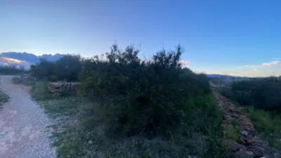 Rustic Finca in Rústica photo 15