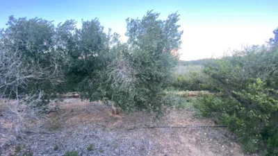 Rustic Finca in Rústica photo 8