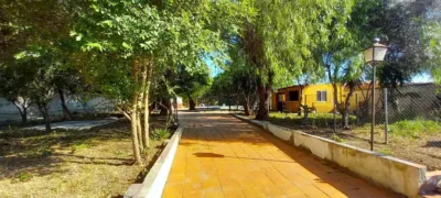 Rustic finca on Calle Urbanizacion Privada Matachica photo 25