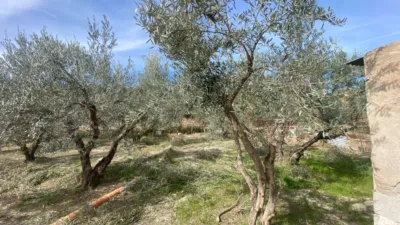 Rustic Finca in Prado photo 12