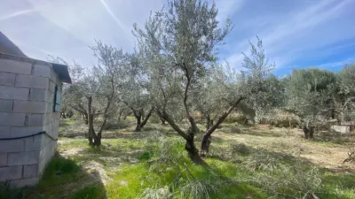 Rustic Finca in Prado photo 13
