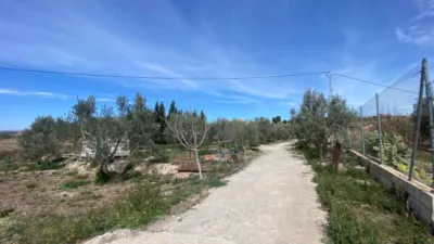 Rustic Finca in Prado photo 15