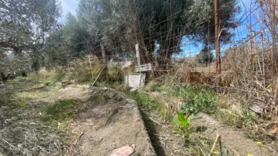 Rustic Finca in Prado photo 8