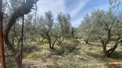 Rustic Finca in Prado photo 9