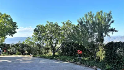 Rustic finca in Sierro photo 10