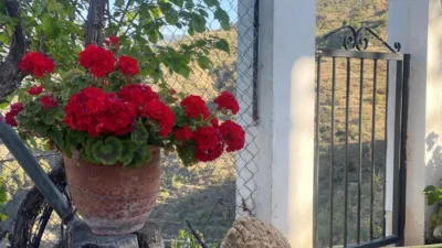 Rustic finca in Sierro photo 14