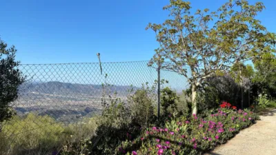 Rustic finca in Sierro photo 37