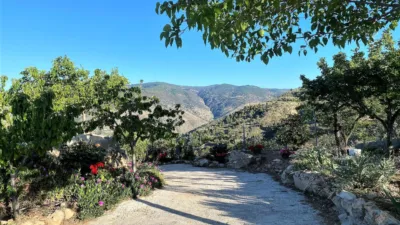 Rustic finca in Sierro photo 40