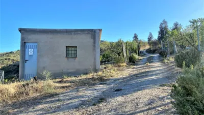 Rustic finca in Sierro photo 46