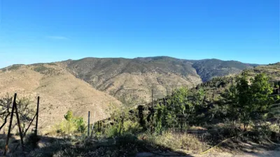 Rustic finca in Sierro photo 47