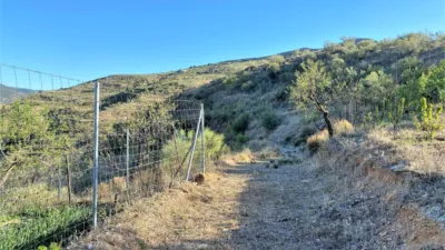 Rustic finca in Sierro photo 48