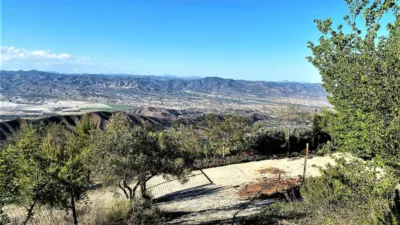 Rustic finca in Sierro photo 50