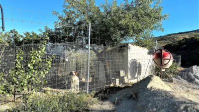 Rustic finca in Sierro photo 51
