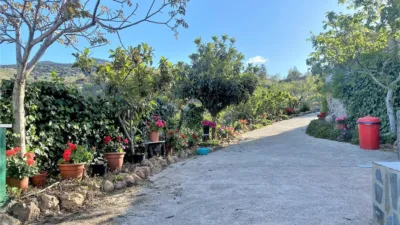 Rustic finca in Sierro photo 8