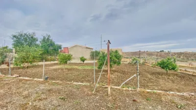 Rustic finca at Calle Graneros Los, No. 22 photo 8