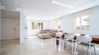 Rustic finca on Calle Segregacion Rustica photo 14