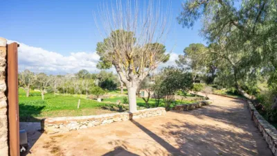 Rustic finca on Calle Segregacion Rustica photo 18