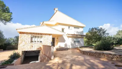 Rustic finca on Calle Segregacion Rustica photo 25