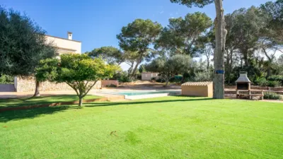 Rustic finca on Calle Segregacion Rustica photo 40