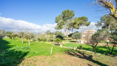 Rustic finca on Calle Segregacion Rustica photo 41