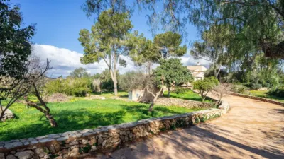 Rustic finca on Calle Segregacion Rustica photo 42