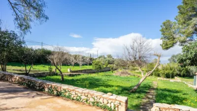 Rustic finca on Calle Segregacion Rustica photo 43