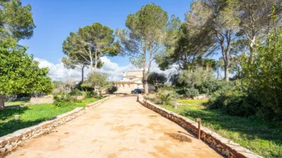 Rustic finca on Calle Segregacion Rustica photo 44