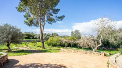 Rustic finca on Calle Segregacion Rustica photo 45