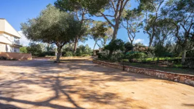 Rustic finca on Calle Segregacion Rustica photo 46