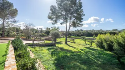 Rustic finca on Calle Segregacion Rustica photo 47