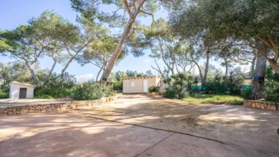 Rustic finca on Calle Segregacion Rustica photo 49