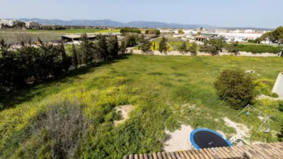 Rustic Finca in Son Ferriol photo 33