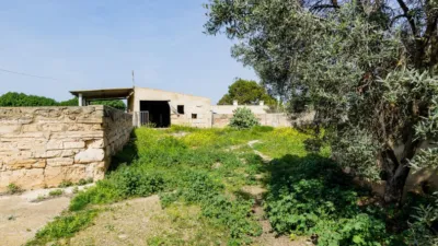 Rustic Finca in Son Ferriol photo 37
