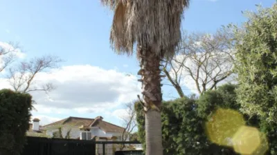 Chalet en venta en Las Vaguadas, Las Vaguadas-Carretera de Valverde (Badajoz Capital) de 399.000 €