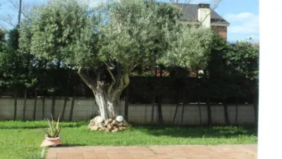 Chalet en venta en Las Vaguadas, Las Vaguadas-Carretera de Valverde (Badajoz Capital) de 399.000 €