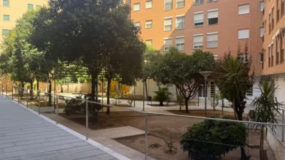 Piso en alquiler en Calle del Museo, 9, Pardaleras (Badajoz Capital) de 725 €<span>/mes</span>