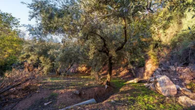 Rustic farm on Extrarradio Street photo 29