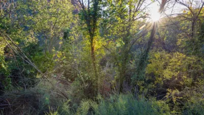 Rustic farm on Extrarradio Street photo 32