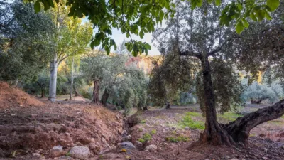 Rustic farm on Extrarradio Street photo 35