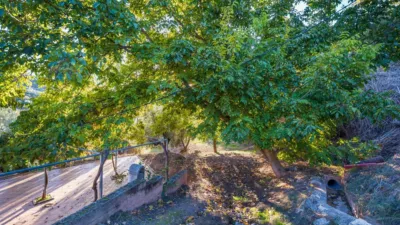 Rustic farm on Extrarradio Street photo 4