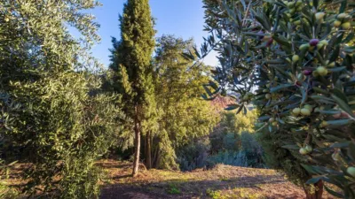 Rustic farm on Extrarradio Street photo 6