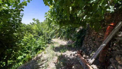 House on Calle Poligono No 8 Parcela 460 Granada Lanjaron photo 17