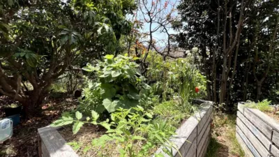 Finca rústica en venta en Vallehermoso, Vallehermoso de 379.000 €